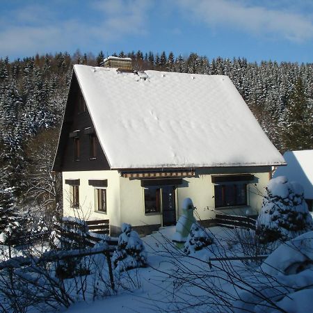 Erzgebirgsdomizil Am Schwartenberg 노이하우젠 외부 사진