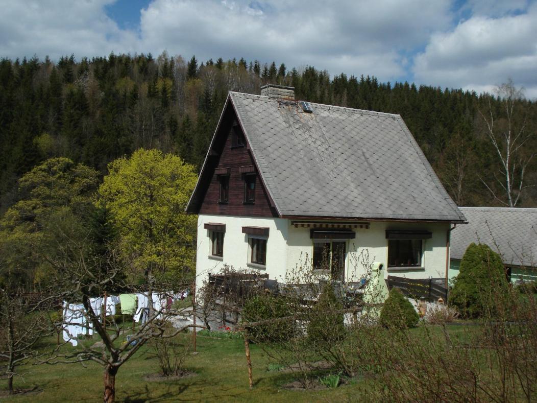 Erzgebirgsdomizil Am Schwartenberg 노이하우젠 외부 사진